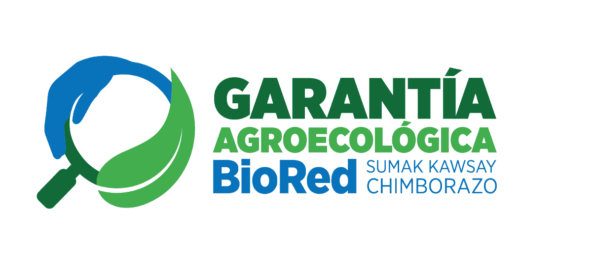maquichimborazo's tweet photo. #Chimborazo ] @Maquita_Cjusto en coordinación con la #BioRed SumakKawsay Chimborazo realizamos el lanzamiento del "Sello de Garantía Agroecológica" para la oferta de productos sanos y de calidad provenientes de la Agricultura Familiar Campesina. @generalitat #EcosolONGD https://t.co/vQY53JQxhW