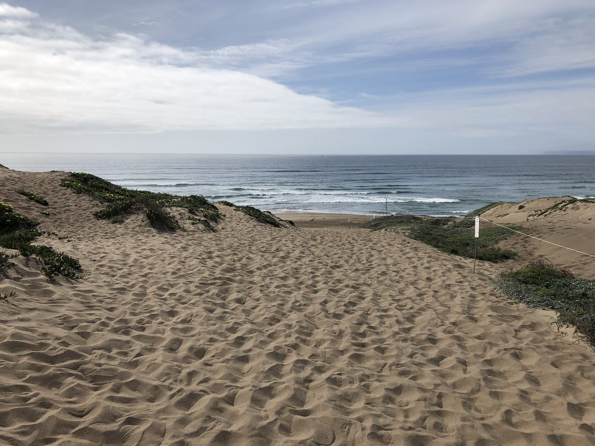 Vividevereaux's tweet photo. Many storms have been weathered. And it’s time to find some inner peace. Some universal trust. And crucially, letting go. The ocean was a pretty good place to do this. Welcome to Monday. 
.
.
.
#Monday #Beach #Actorslife #Gratitude #Reflection #Meditation #SLO #OceanCalm https://t.co/FVRANEpJla