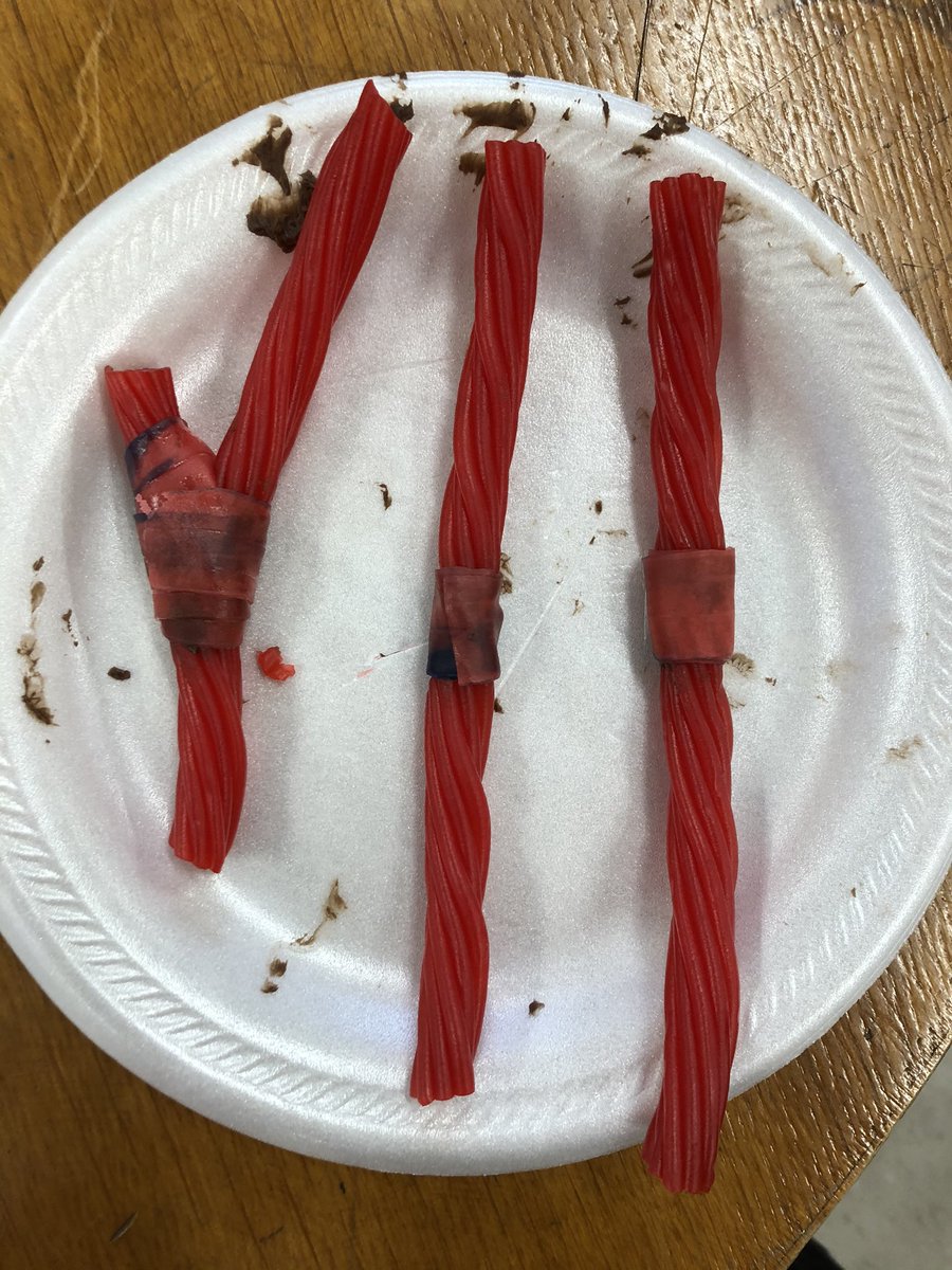 MariahDaninger's tweet photo. Wrapping up plant propagation today by grafting some tasty “plants”! #GoodhueSchool https://t.co/LzQl01zRFM