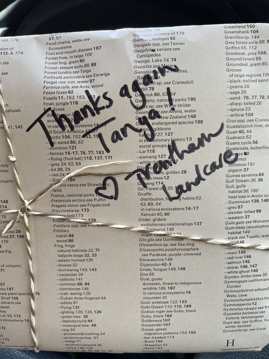 TanLoos's tweet photo. Aw!!! A parcel for me at the letterbox - from Trentham Landcare as thanks for leading a bird walk. I just love the galah design from gorgeous Bridget Farmer, and check out the delightful wrapping paper 😍 aw thanks to Trentham Landcare and especially @natcursio https://t.co/sFLkMTz7nA