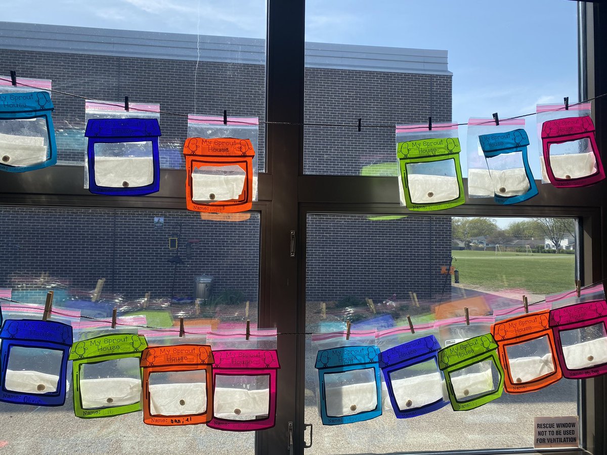 Ms. Begg tweet media