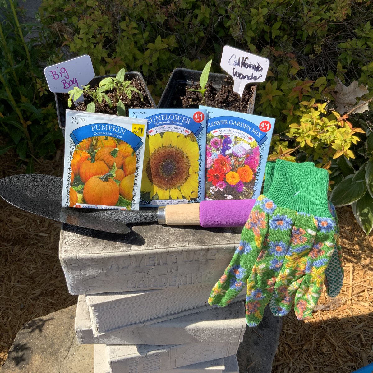Stop by the Jackson City Library to pick up a free gardening starter kit!