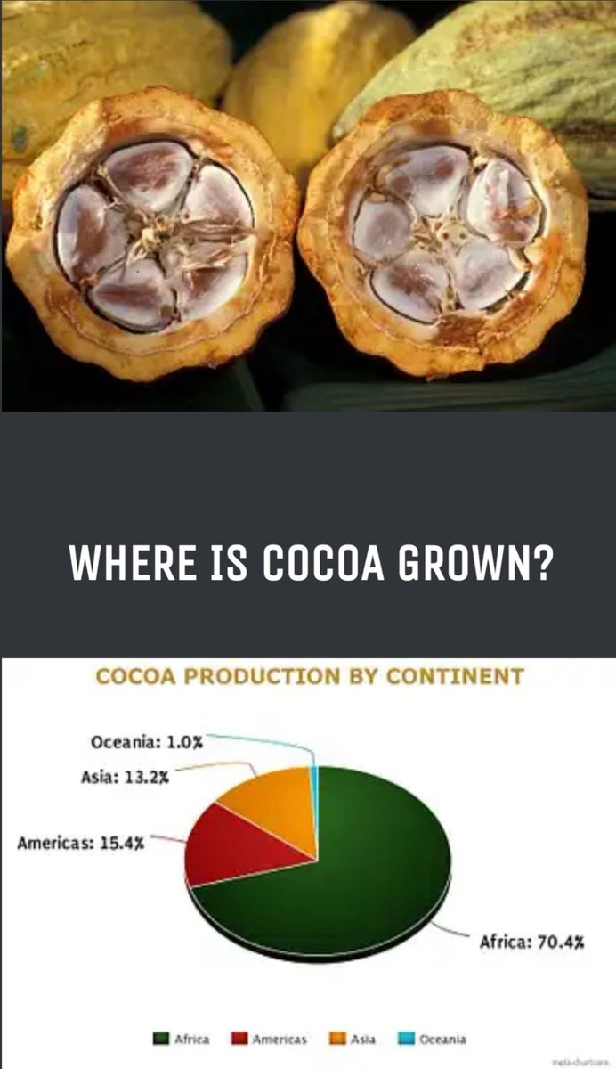ashiabiz's tweet image. The global stats of #cocoaProduction.
A #vitalCommodity for #chocolateCommerce