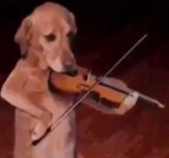chorando se foi violino chorando se foi violino