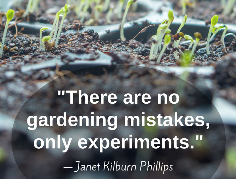 PremierNetting's tweet photo. #PremierNetting #netting #garden #gardening #gardenlife🌱 #allotments #allotmentsuk #allotmentlife #allotmentgarden #growyourown https://t.co/R1AVnq9l23