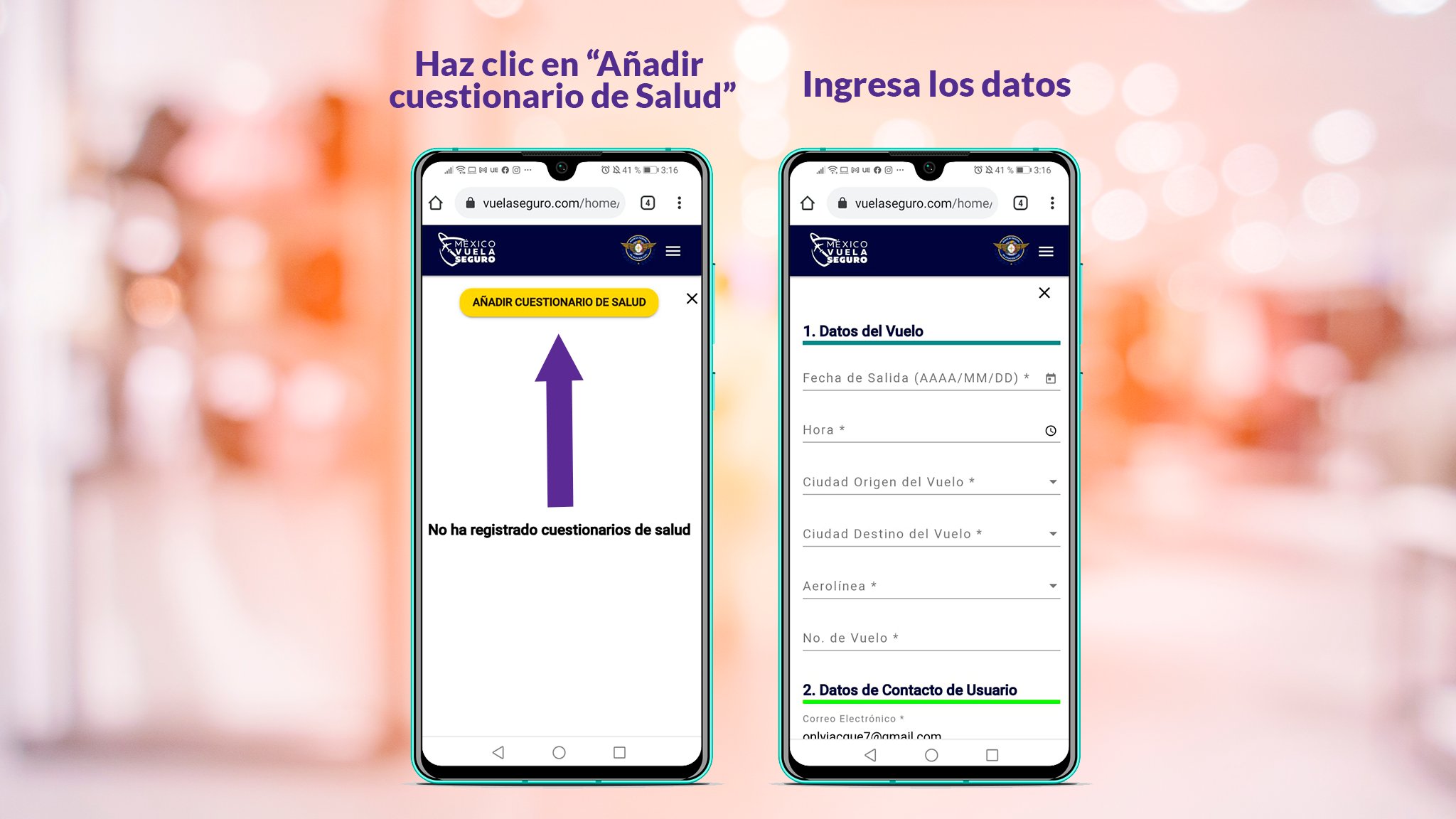 Vuela Seguro (SeguroVuela) / Twitter