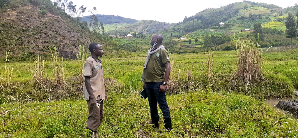 ryaf_agribiz's tweet photo. Livestock Farmer Field Schools #LFFS in @GicumbiDistrict, Rukomo Sector, Gihuke Cell are planting fodder crops after having skills from #RYAF-RDDP staff.They were also capacitated with #mastitis diagnosis using CMT and reagent. https://t.co/qLFLthgeYR