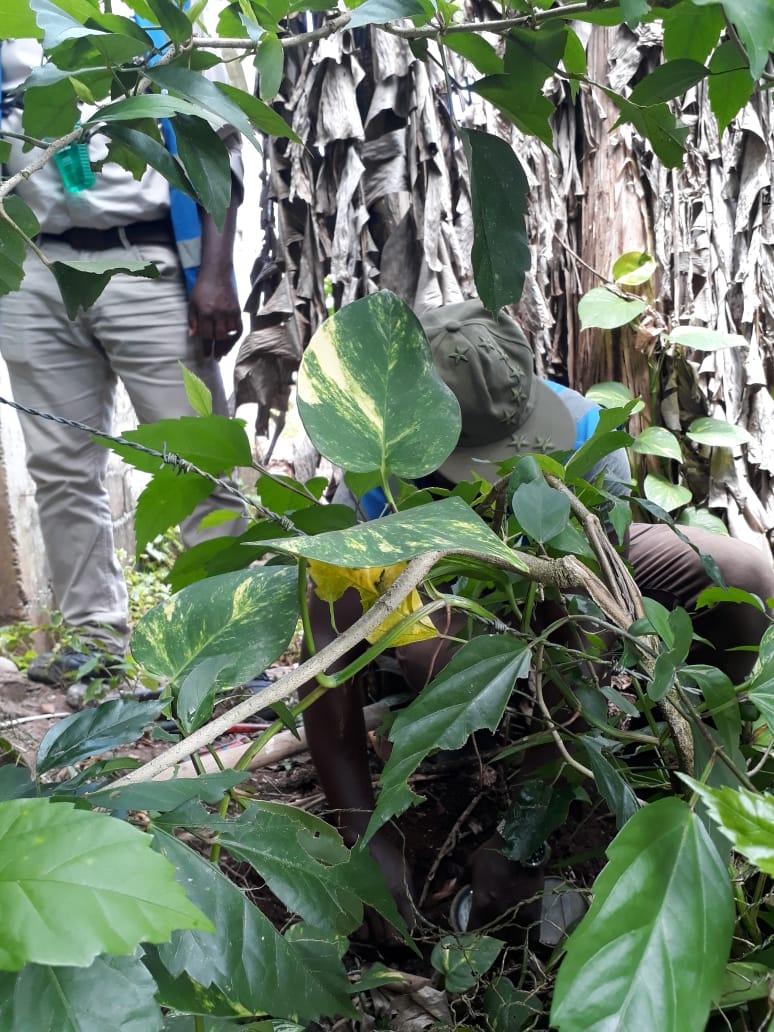 NWCjam's tweet image. #DisconnectionDrive | Massive disconnection drive is continuing in Boundbrook, Port Antonio.