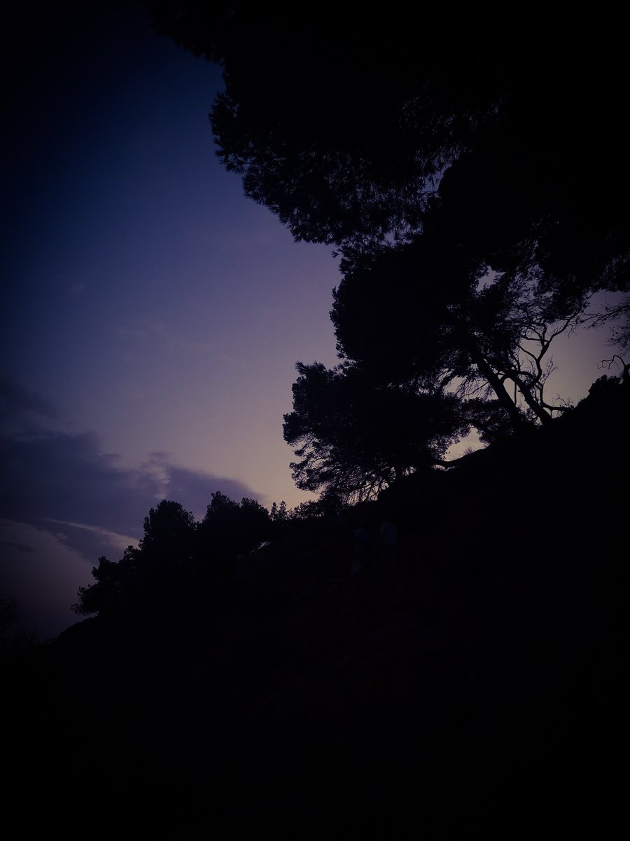 Après l'été tweet media