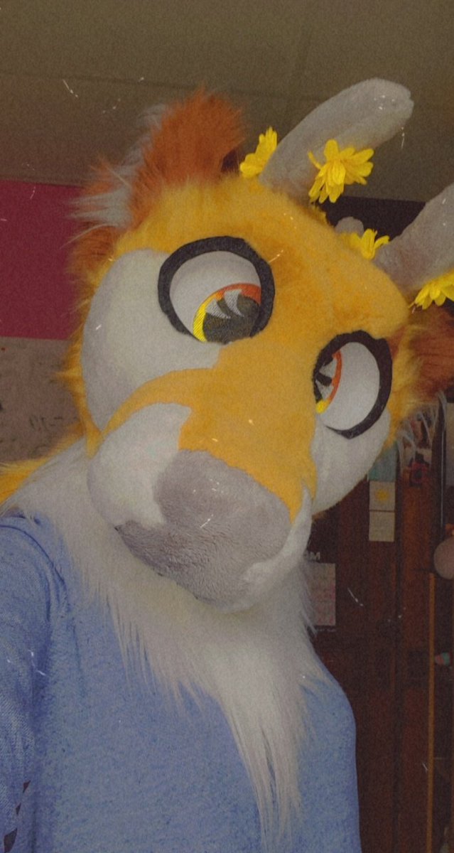 TrashyFur's tweet photo. Oh deer ?? She's finally here !! 😍
Meet Daisy-Mae made with love by pinkcatcreations on insta !! 💗
#furrytiktok #fursuit #fursuiter #furry #furryfandom https://t.co/eQQnlreA6d