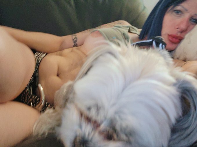 It's nap 30 with the dog https://t.co/eBsLMKvo0z<a href="/tag/flashback"class="tags"><span>#flashback</span></a>