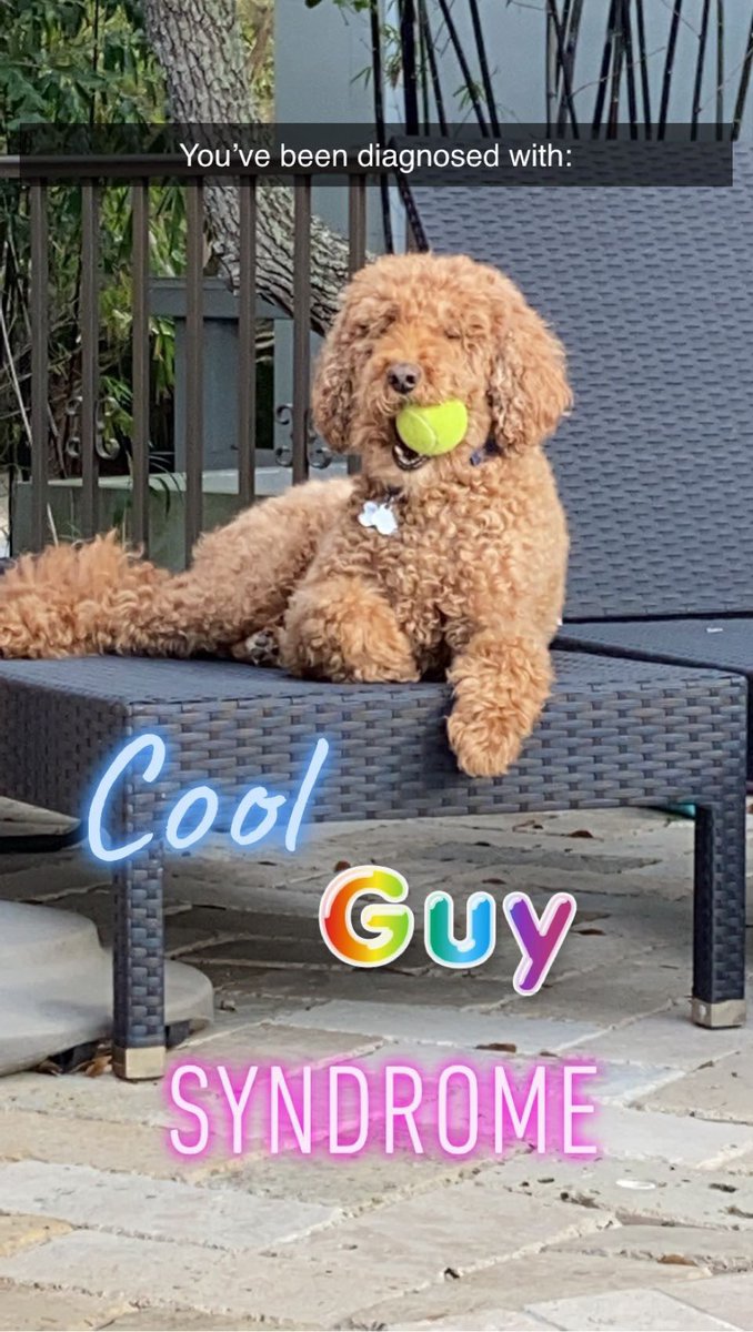 Hiii everyone! I’m Jayme, NFR’s 18th Regional Mazkirah 🤩 I am so excited for this opportunity and can’t wait for an AMAZING year! I want to kickoff my first week with a #MomSelfieMonday and some dog pics 🥳