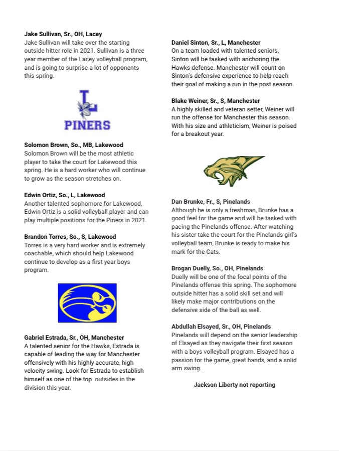 Rounding out the previews, here are the top prospects in B-South boys volleyball this spring 🏐🏅