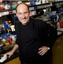 Neil Gow tweet media