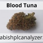 Image for the Tweet beginning: Blood Tuna Strain
Highest Measured Values
Total