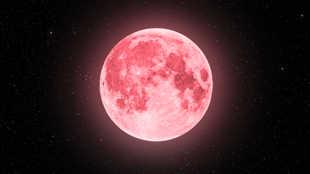 Sah_Hacimotoo's tweet photo. Hoje e amanhã é possível observar a Super Lua Rosa (Super Pink Moon). Infelizmente (seria meu sonho kkkk) ela não apresenta uma mudança de cor, esse nome vem de tribos indígenas que utilizavam as luas cheias para marcar a passagem do tempo...
@dearmoonproject https://t.co/BzDjLdWgDR