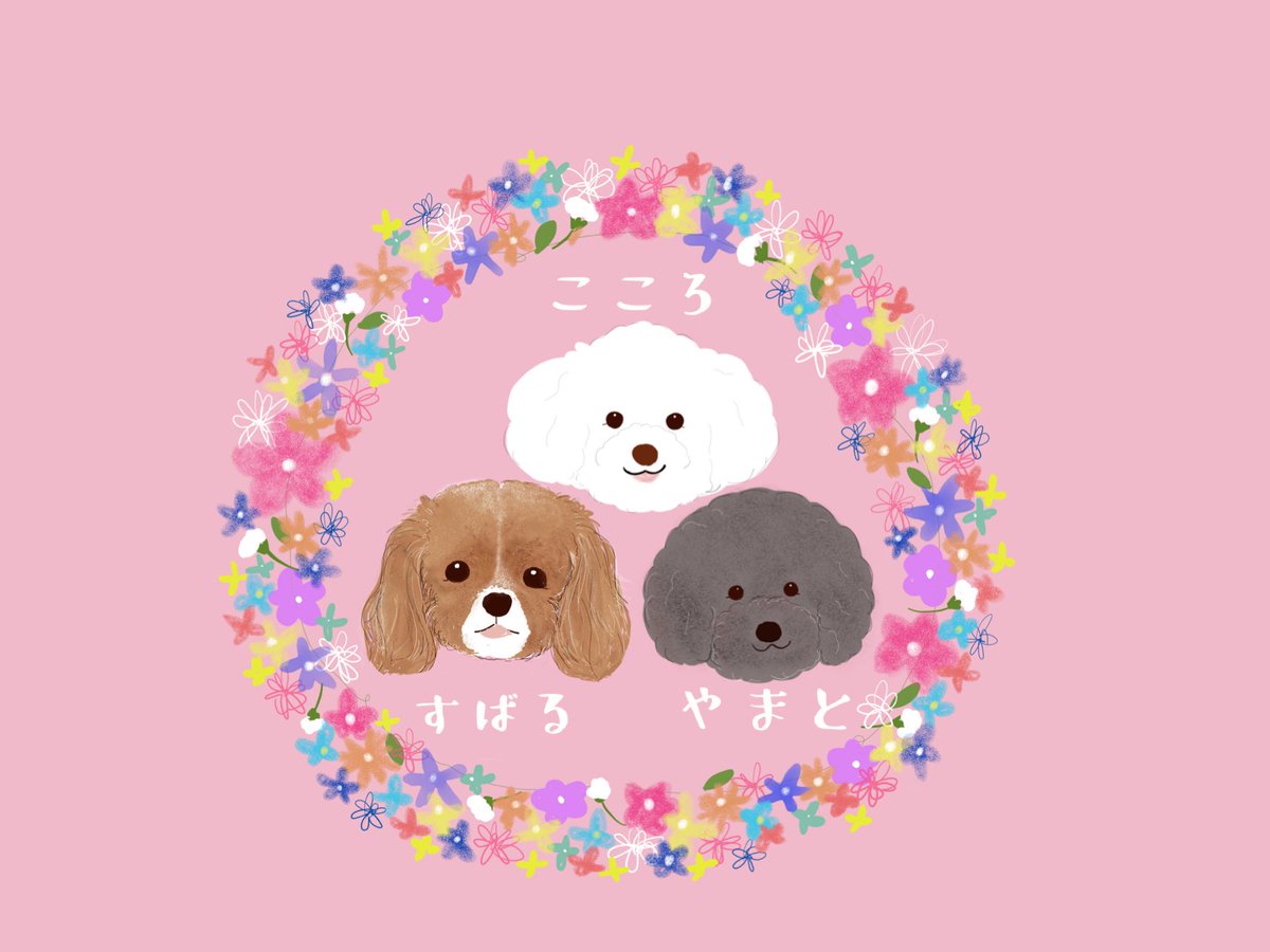 Nanohana Mofuinu工房 最近描いたわんこイラスト イラスト 犬イラスト イラストオーダー イラストオーダー受付中 わんこイラスト ビションフリーゼ ビション トイプードル Nanohana Mofuinu工房 最近描いたわんこイラスト イラスト 犬イラスト イラストオーダー イラストオーダー受付中 わんこイラスト ビションフリーゼ ビション トイプードル