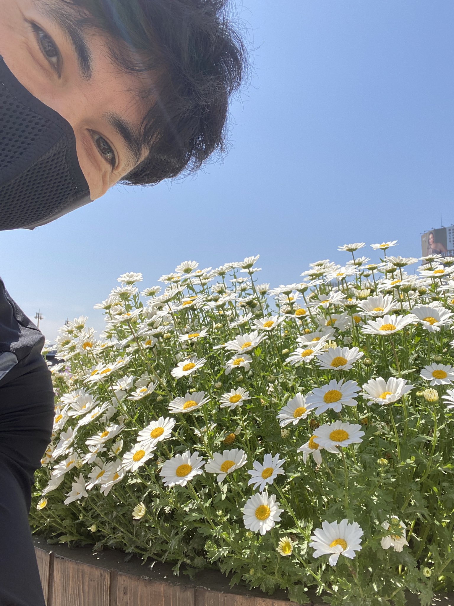 小島よしお 400 12本 Rest 65秒 お花 ノースポール マーガレットかと思ったら ノースポール 花言葉 誠実 久々に走った めっちゃばてた 81 81 87 86 ランニング T Co Ihikgwfn6b Twitter