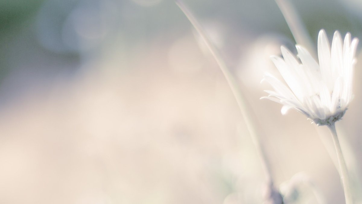 Music and ministry have rarely come together so seamlessly as in the case of Benjamin Dunn and the Animal Orchestra. buff.ly/3dxou0E