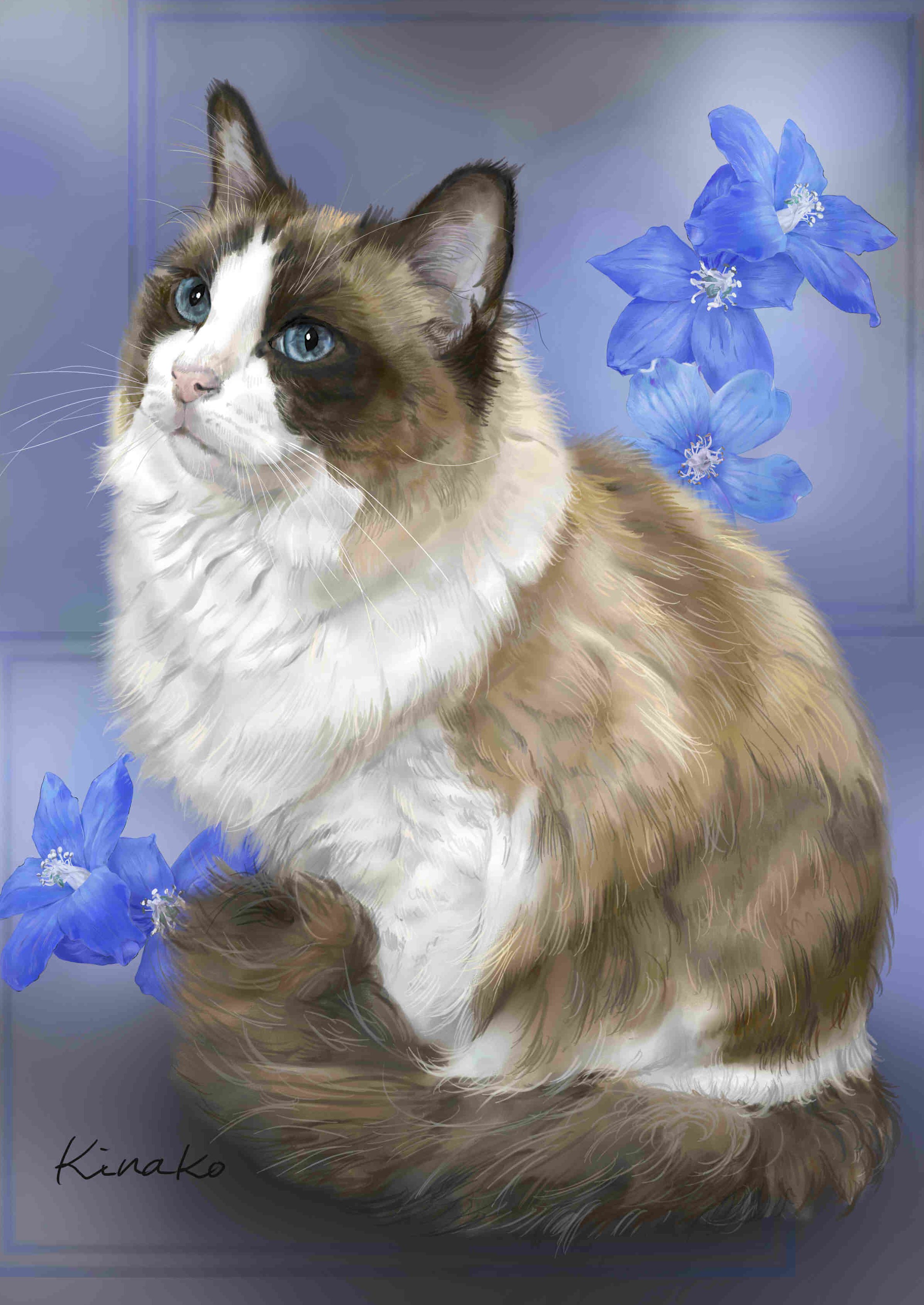 きなこ 猫の絵を描いています 絵が完成しました きじとらねこさんの 美しいラグドールのゆず君です 透き通ったブルーの瞳 美しいグラデーションのモフモフの毛並み 優しい表情 ラグドールは 高貴な印象です なんてきれい 猫絵 Cat