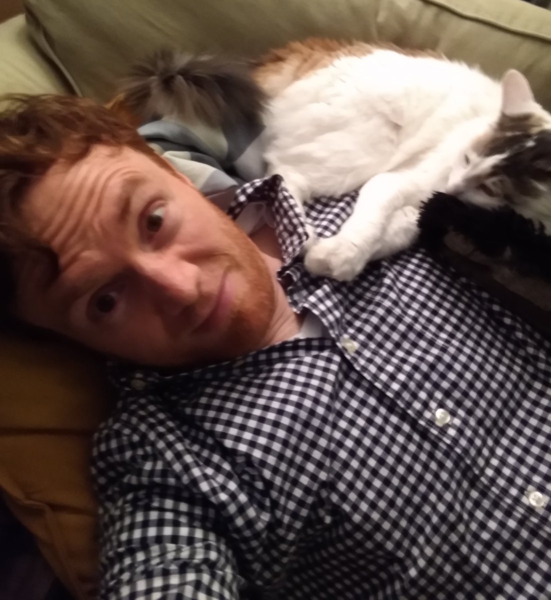 ABFilmsPhoto's tweet image. Cat howdy