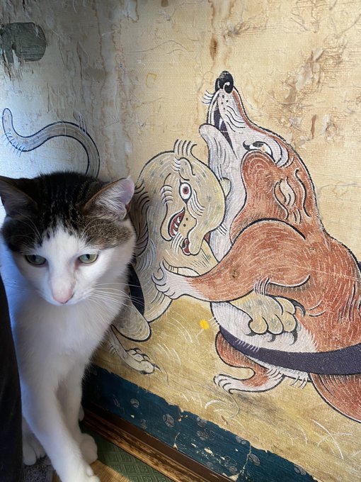 「cat fine art parody」 illustration images(Latest)