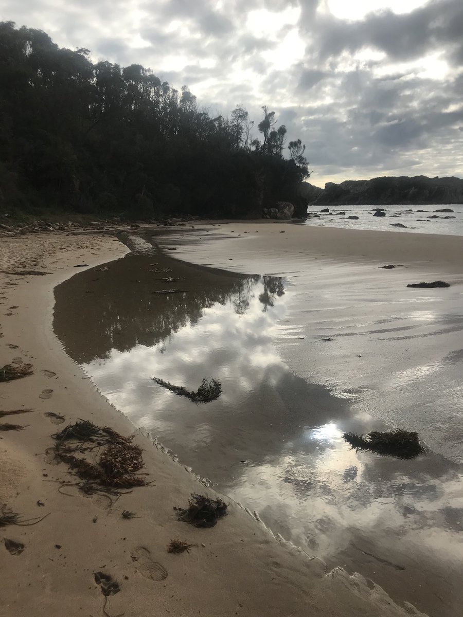 RichardmBaker's tweet photo. High tide low energy wave morning at Guerilla Bay ⁦@DrHannahPower⁩ https://t.co/tSJwV1EUEU