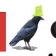 ranboolore's tweet photo. oh wow a crow!                    PHILZA 
                                          MINECRAFT??? https://t.co/djNPEX2Huq