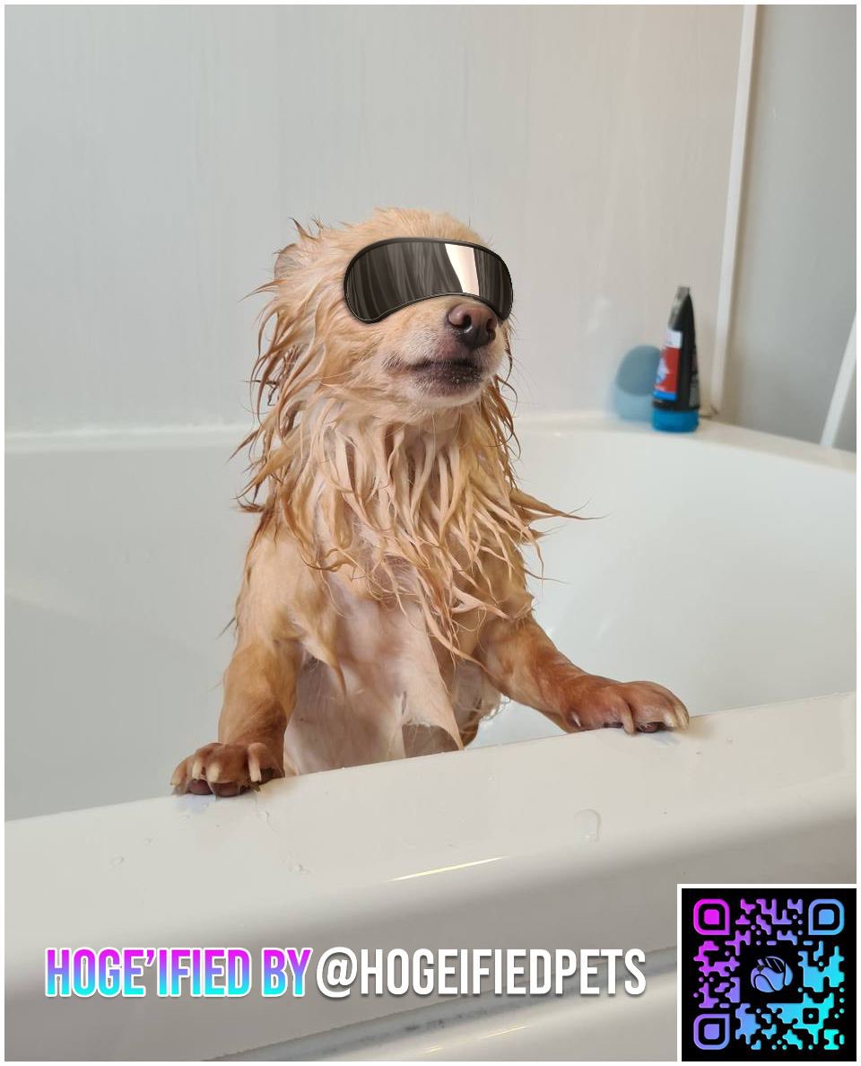 HOGE’ified Pets tweet media