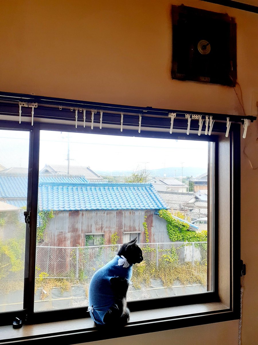 春の大掃除