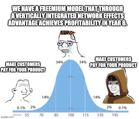 There are complex strategies using freemium models that are long-term profitable, but save that for the second company you found.Usually, a freemium model just means you lack the courage to ask people to pay, fearing rejection.