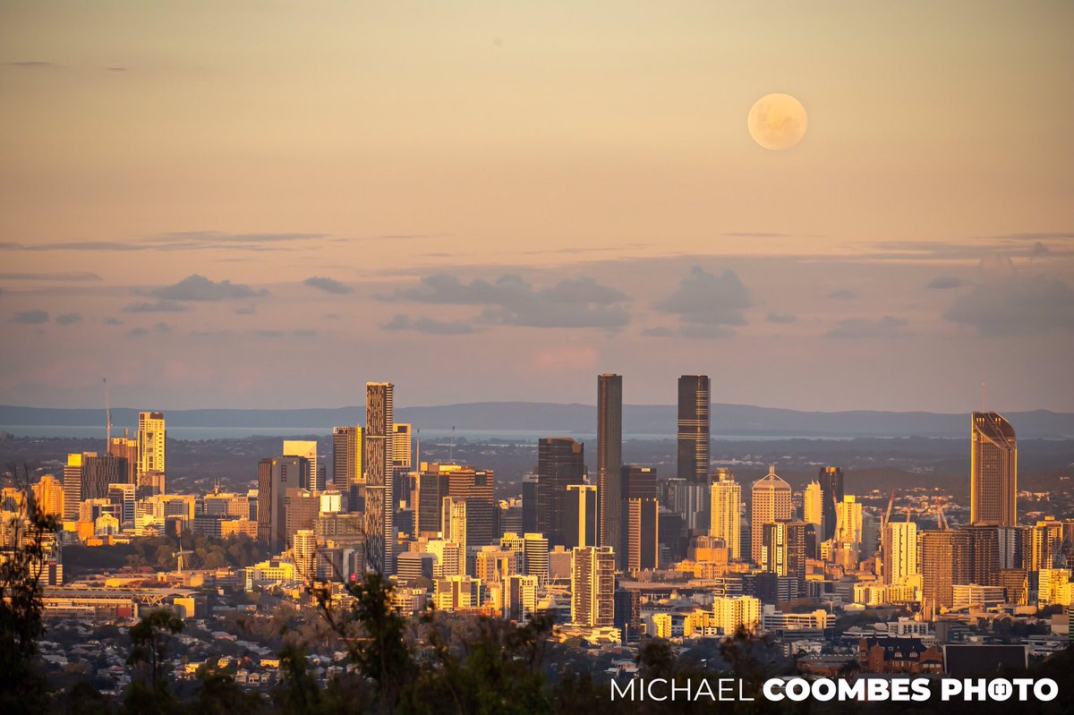 Michael Coombes tweet media