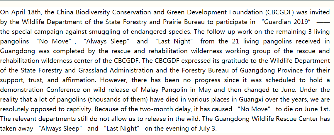 Pangolin Girl Thanks All the Help with Javan Pangolins https://cbcgdf.wordpress.com/2019/07/18/the-pangolin-girl-thanks-all-the-help-with-the-javan-pangolin-always-sleep-and-last-night-rescue-and-rehabilitation-working/