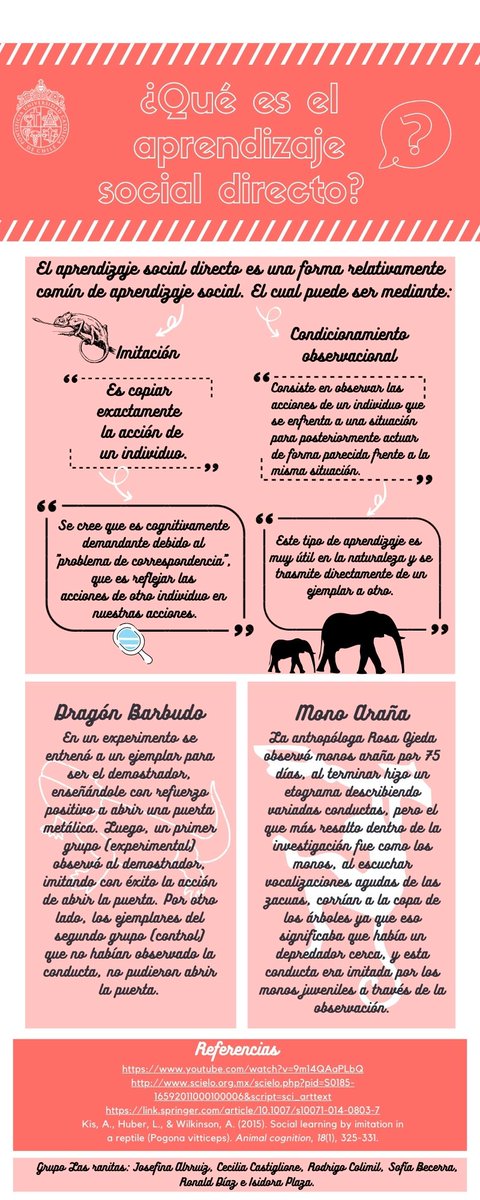 Otra forma en que los animales aprenden es mediante el aprendizaje social directo. Así lo ejemplifican los autores de esta infografía Josefina Alrruiz, Sofía Becerra, Cecilia Castiglione, Rodrigo Colimil, Ronald Díaz e Isidora Plaza.