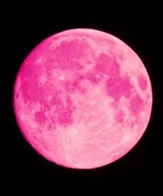 Vero_Luna_OK's tweet photo. Este fenómeno astronómico nos trae ..
La Super Luna Rosa🌝
Es una Luna potente intensa y mágica ✨🧚♂️.
🧘🏻♀️Conecta con tu yo interior para poder abrazar nuestro lado luminoso y sanar ✨✨🙌🏻❤
Recibe paz y calma y llena de amor y gratitud tu alma 🤲🏻✨✨🙌🏻...
#Seamor 💖 https://t.co/5td1399cOO