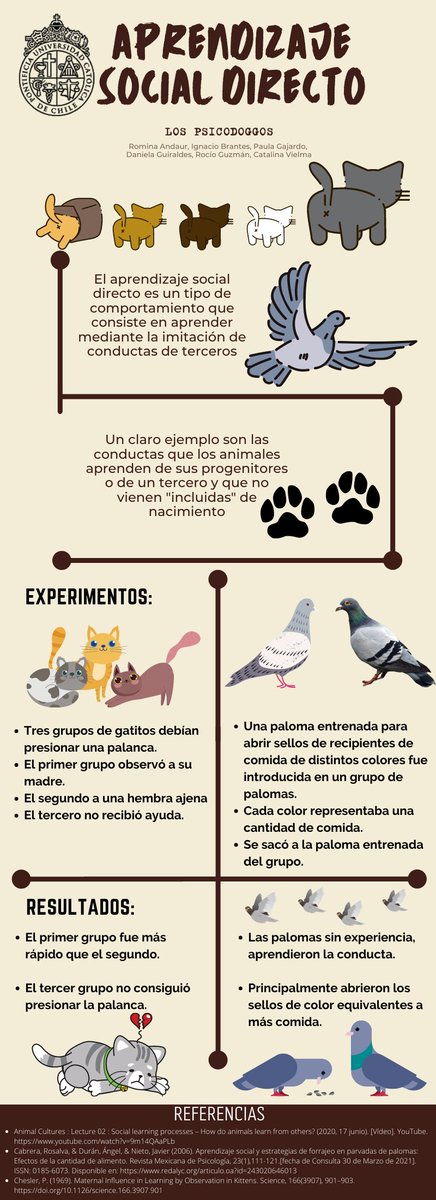 Y ahora un ejemplo de aprendizaje social directo con Palomas y gatos que presentan Romina Andaur, Ignacio Brantes, Paula Gajardo, Daniela Guiraldes, Rocío Guzmán y Catalina Vielma.
<a href="/MedVetUC1/">MedVetUC</a>