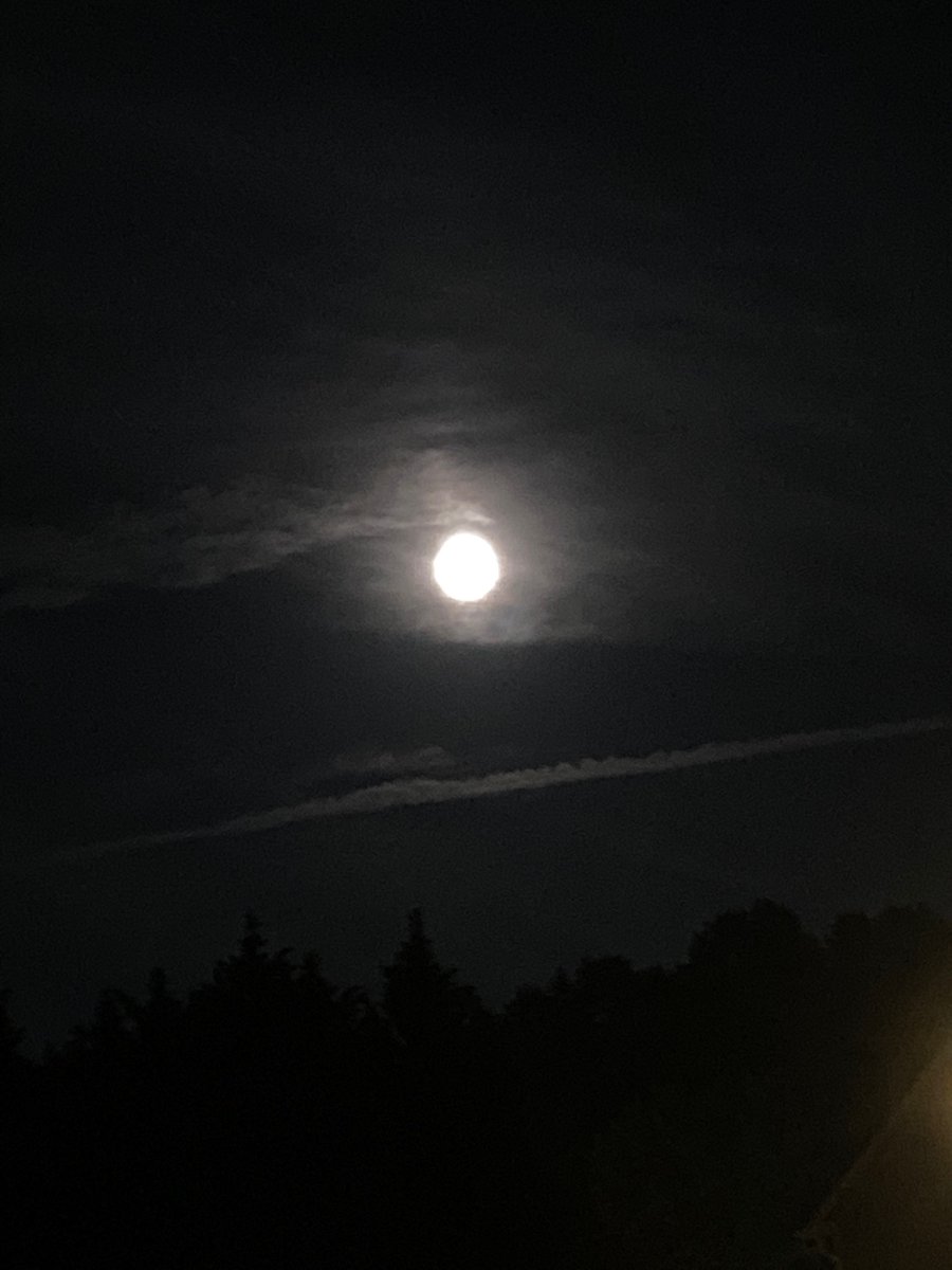 _theternalnight's tweet photo. Happy #mooninscorpio!!! https://t.co/HtCj2nwMpV