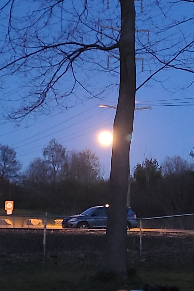 Beesaurus28's tweet photo. Day 29: Somehow made it out of school today by 7:30 so I could watch the super moon rise! My pics don't do any justice, but it was neat. #6weekstretch #Supermoon https://t.co/SNGgGyuahN