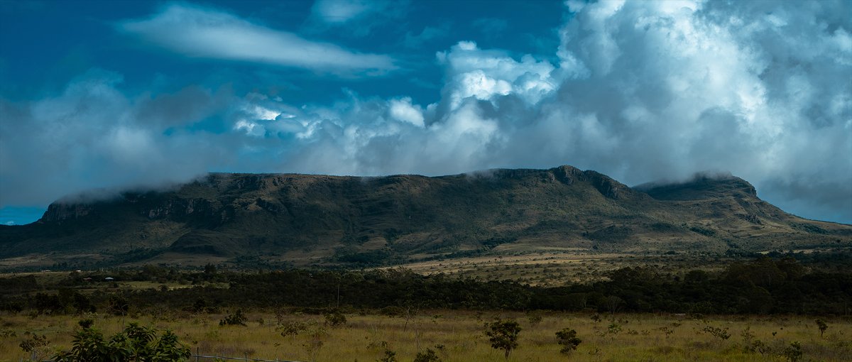 A series of photographs taken during a week off in the state of Goiás, Brazil.

behance.net/gallery/118339…