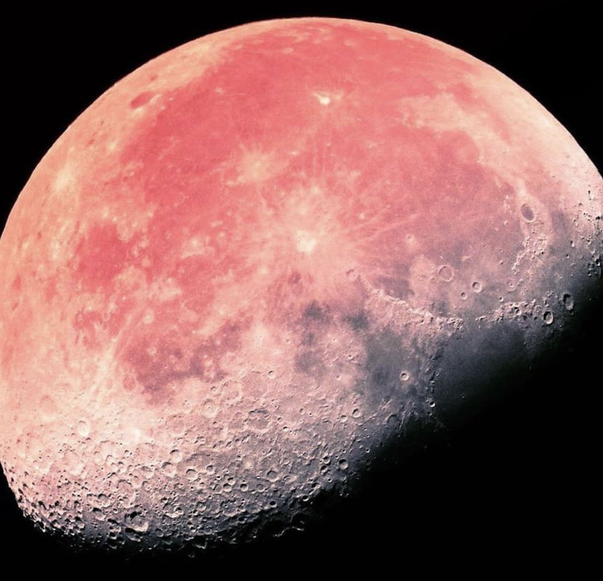 pink moon