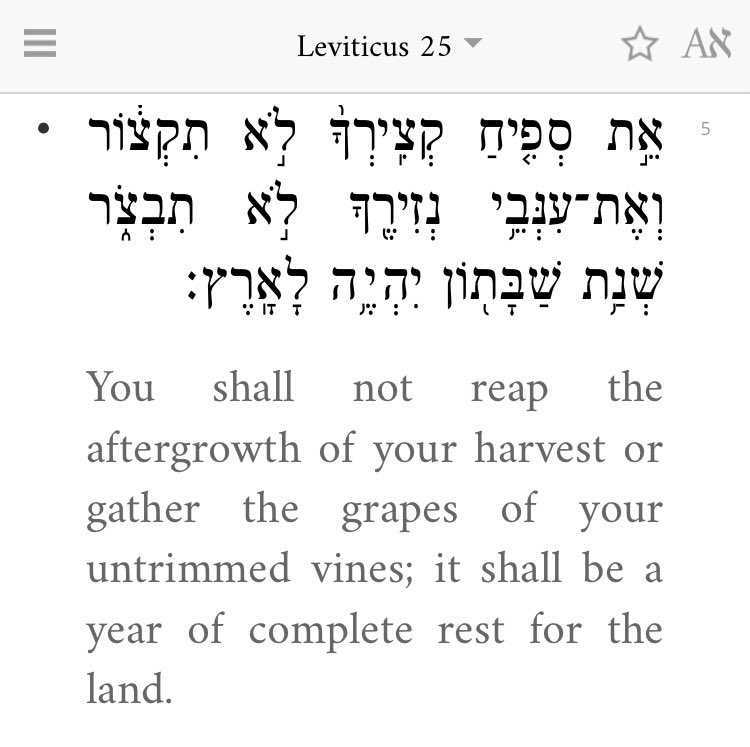 This is Leviticus 25:1-7 in full in Hebrew to English interlinear text. Review this in is entirely to see the full context, and we shall also look at specific verses and words to get a most accurate understanding of what should be followed for gardeners for sabbath year