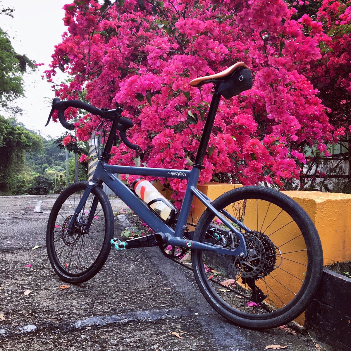 stijncycles's tweet photo. Full color explosion💥
#ブーゲンビリア #bougainvillea
#gravelbike #cyclinglife #cyclinglove 
#451wheel #racebike #roadcycling #minivelo #smallwheels
#ディスクロード #ミニベロ #小径車 #ミニベロロード #小径車ロード
#ステインサイクルズ 
#stijncycles #stijncycles_peg https://t.co/vOxIBs2H0M