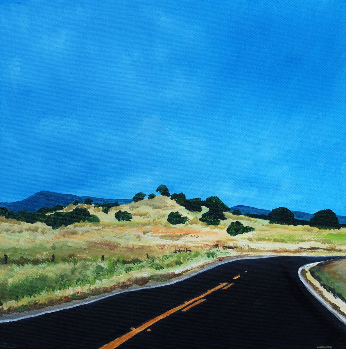 Visit my Open Studios Art Tour page cguenterart.com to view and contact me. Look for art &amp; gifts at   #ChicoOSAT.com. Your purchase of a ($15) web access code supports Chico Art Center Virtual Tour. Sales run through 7/31/21. <a href="/ChicoCityof/">CityofChico</a> <a href="/ChicoArtCenter/">Chico Art Center</a>