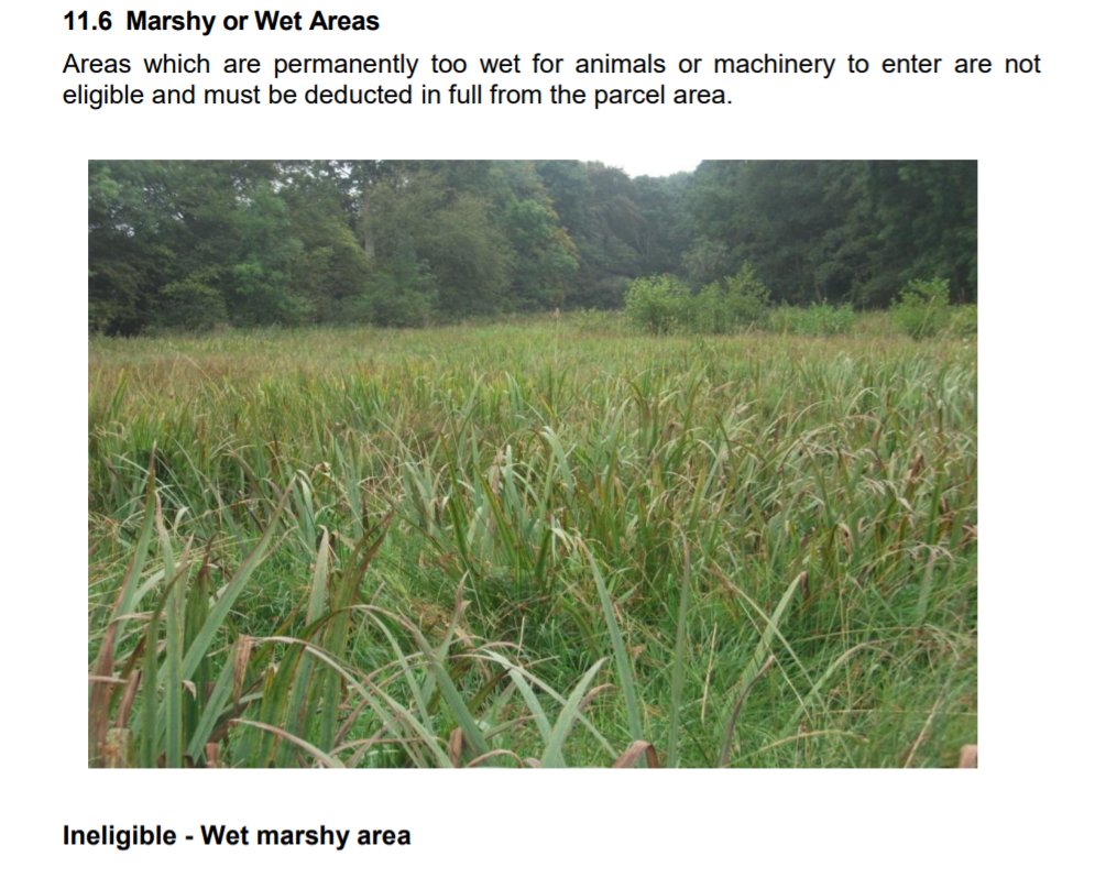 The most vital habitats of all, wetlands are not safe either. The implied instruction here is to drain and turn it into 'productive' grassland.