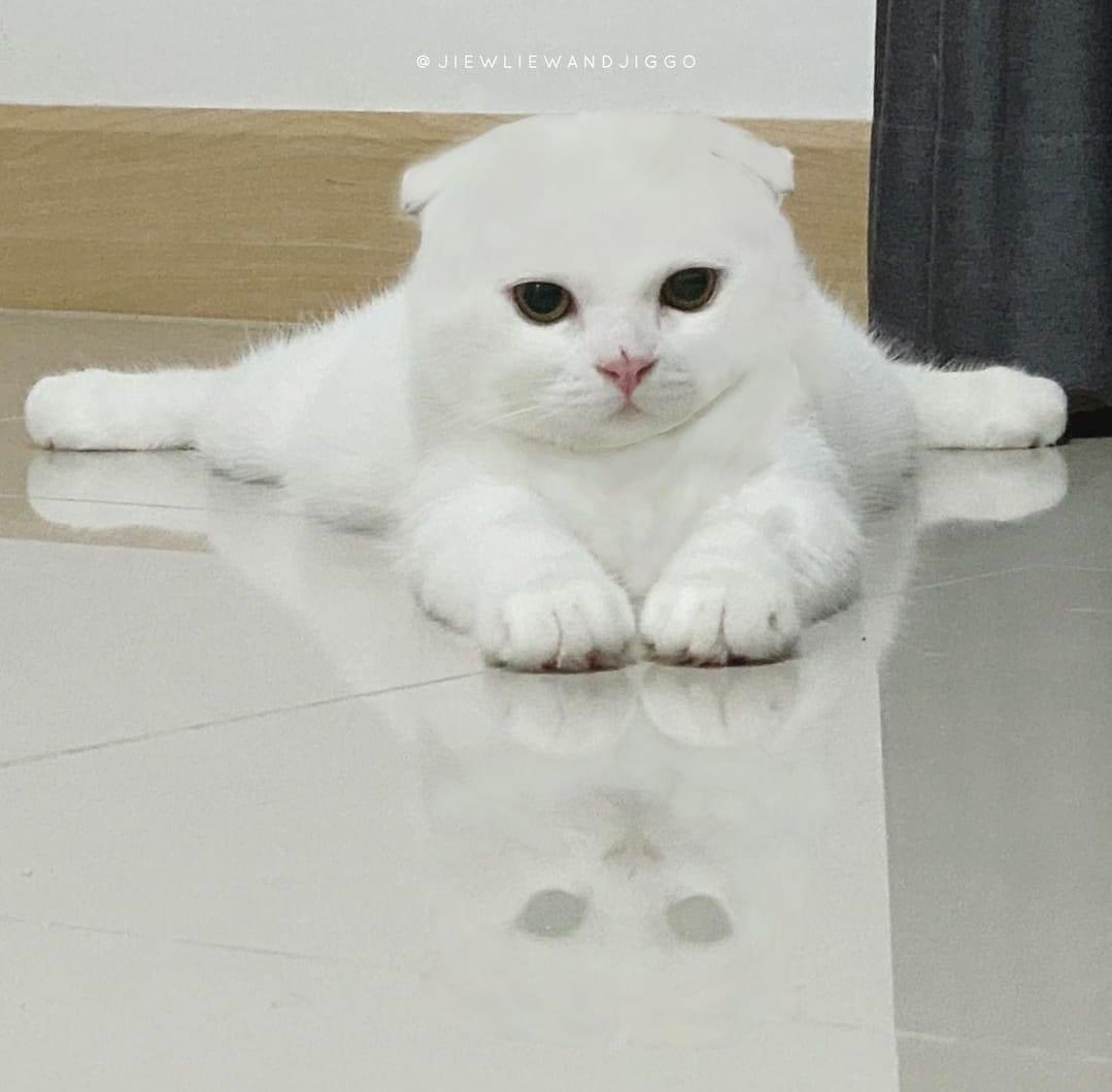 555555555555555555555555555+