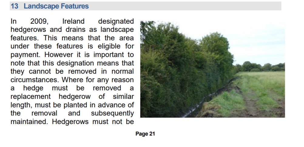 Since 2009, the document also incentivises the removal of hedgerows by classifying the area where they stand as eligible, after they have been removed. Drains too, once covered are eligible. It is no co-incidence that a growing number of bird species are threatened since then.
