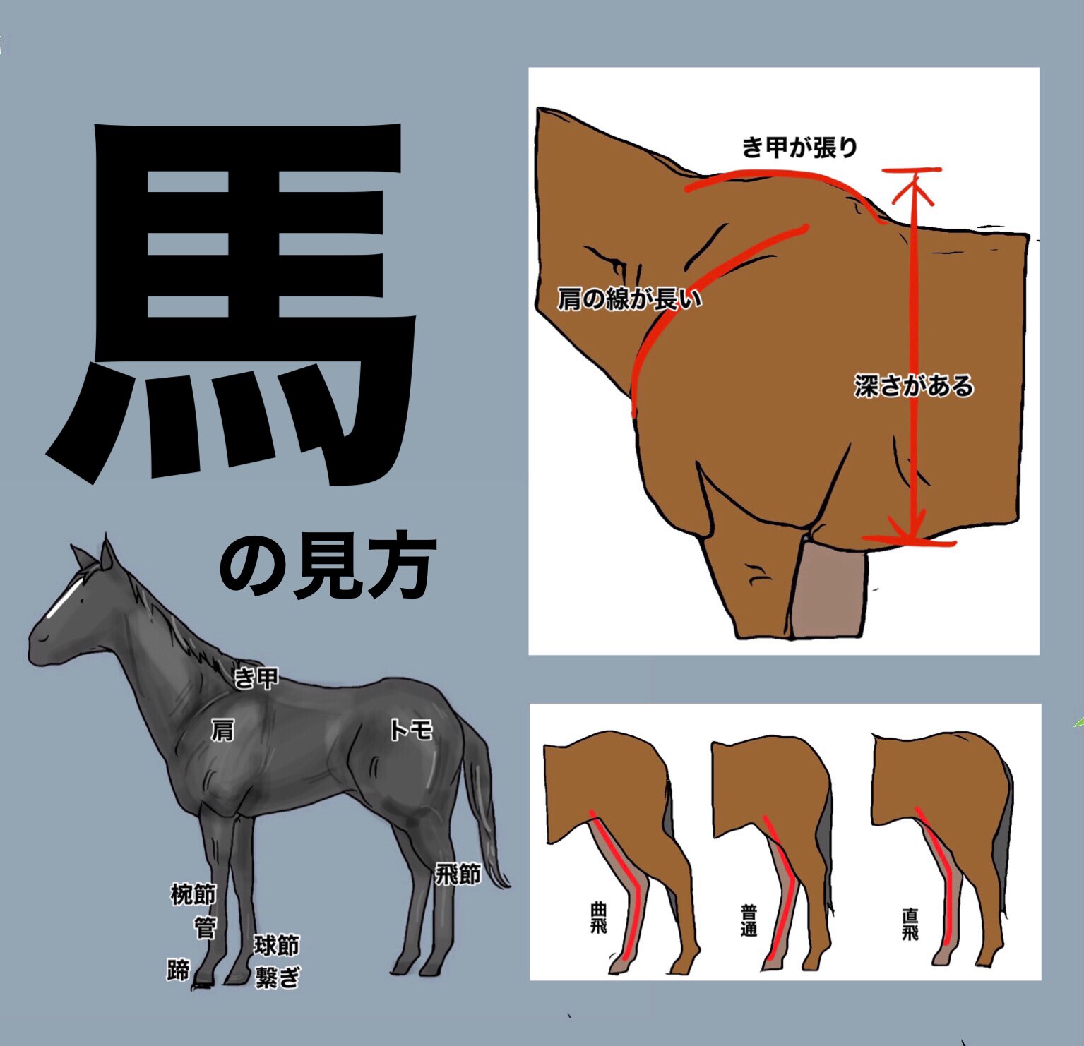 えいた Usadaifuku 尻は見ちゃいますね Twitter