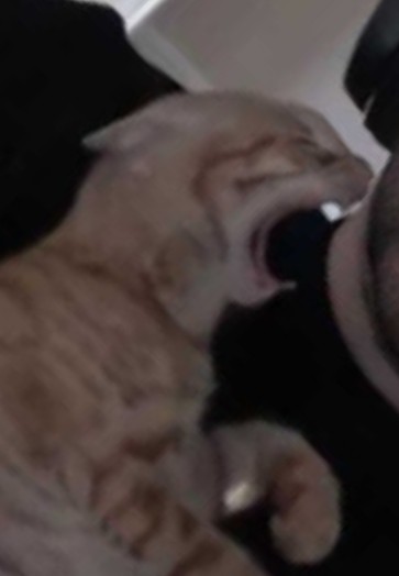 like father, like son