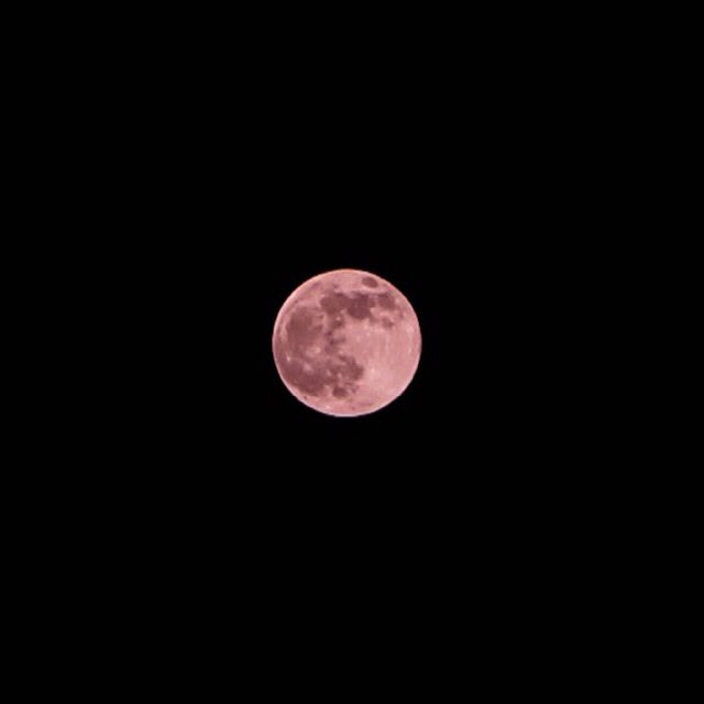 Go2DaMoon #SuperPinkMoon