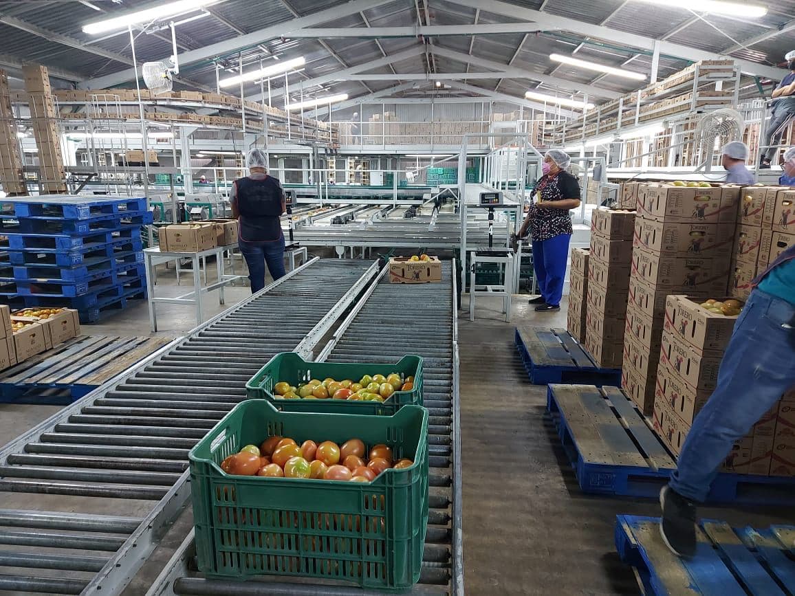CortinaGallardo's tweet photo. En recorrido por las instalaciones de Agroexportadora del Noroeste de José Maria Pablos, tuve la oportunidad de conocer sus procesos de producción y tecnificación, así como su compromiso con la calidad, inocuidad y responsabilidad social. https://t.co/J2fa273n9O